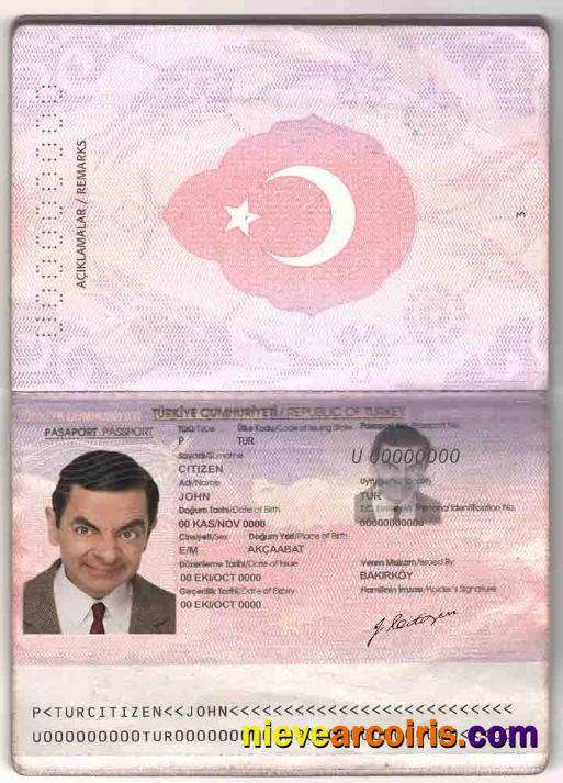 Turkey passport 2010-2018